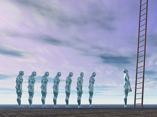 New management development